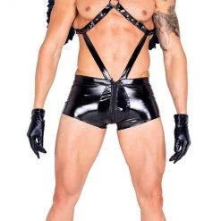 Roma Costume Mens Costumes Dark Angel Costume
