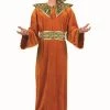 RG Costumes Wiseman Costume - Rust Brown