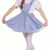 RG Costumes Prairie Girl Dorothy Costume (Child) Girls