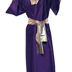 RG Costumes Wiseman Costume (Purple)