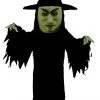 MaskUS Witch Mascot Costume (Thermolite) 2 MaskUS Witch Mascot Costume (Thermolite)